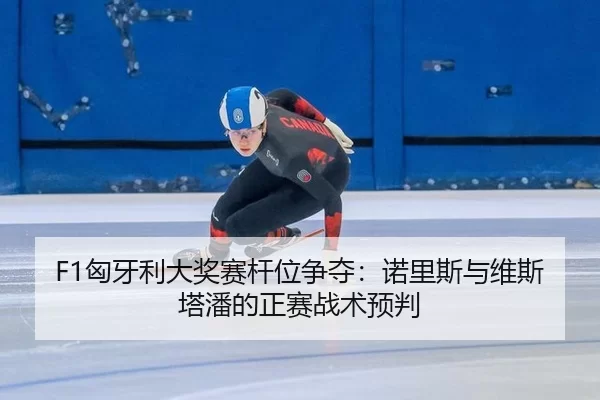 xiong-ya-li-da-jiang-sai-gan-wei-zheng-duo-nuo-li-si-yu-wei-si-ta-pan-de-zheng-sai-zhan-shu-yu-pan-3-598.jpg
